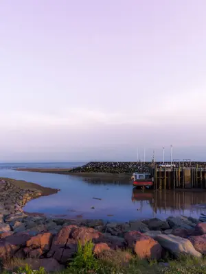 Alma S Port (221877843)