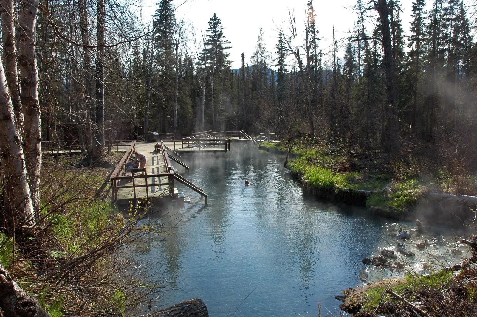 Photo of Liard River Hot Springs Park