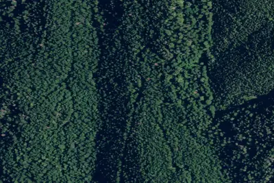 Rd 1604 Site 2
