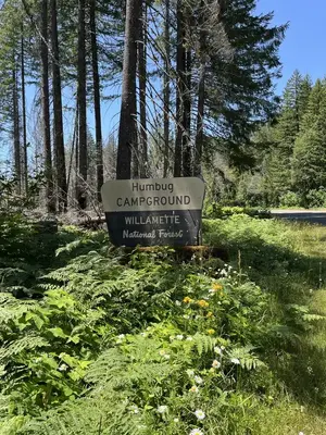 HUMBUG CAMPGROUND Sign