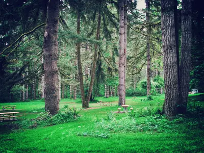 Seaquest State Park, 01