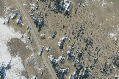 Camp site