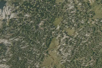 Camp site