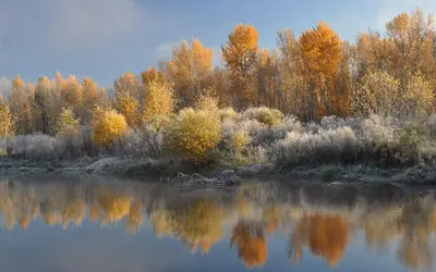 Npnht-chief-looking-glass-state-park-near-florence-montana-october-2011-rogermpeterson-019 (6819423200)