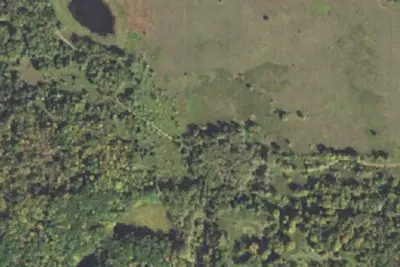 Meadow Vista