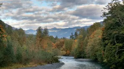 Dosewallips River in Fall from US Highway 101, Olympic National Forest (31710516213)