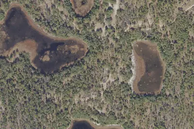 Shanty Pond Recreation Area
