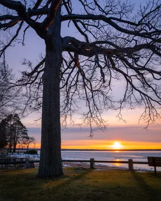 Lakeside Sunset (49274858133)