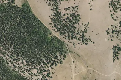 Camp site