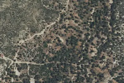 Oak Glen