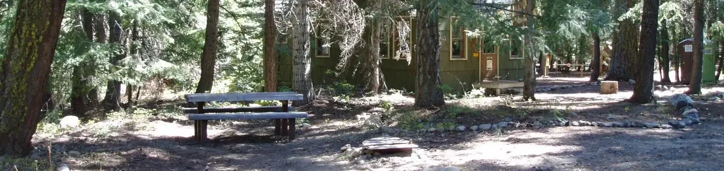 Bench in forest with cabin visible through trees in background.