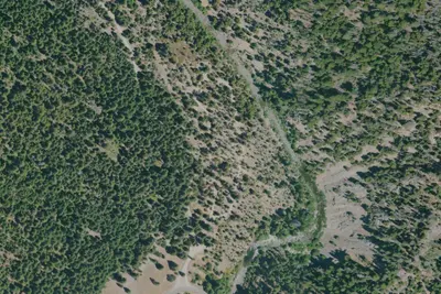 Idlewild Campground