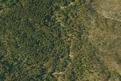 Pioneer Pass Camping Area