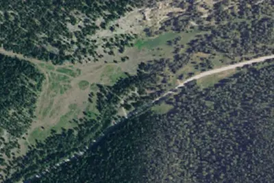 Blacktail Area Rd 251-2