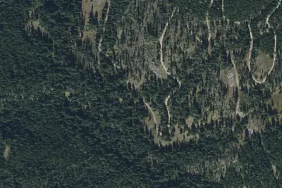 Ash Mtn Road-003