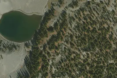 U.S. Forest Service Site #9
