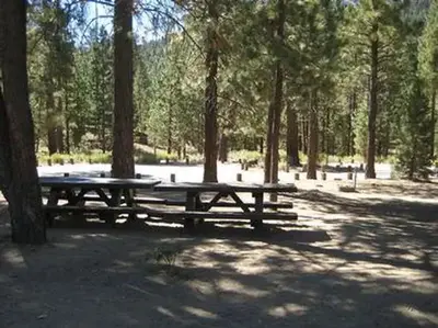 Shade & Picnic Tables of the Skyline Campground