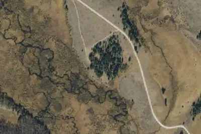U.S. Forest Service Site 1