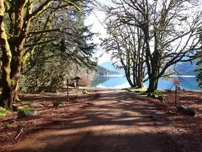 A dirt road leading to the shore of Lake Crescent, where the dock and boat launch are located. Sun shines through the currently leafless trees on what appears to be an early spring day.