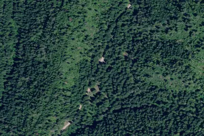 Rd 437 Site 17a