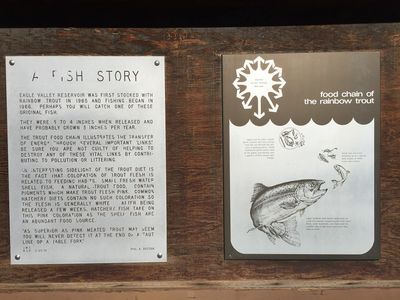 2015-01-15 13 10 30 "A Fish Story" descriptive sign at Spring Valley State Park, Nevada