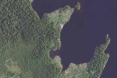 Camp site (USFS)