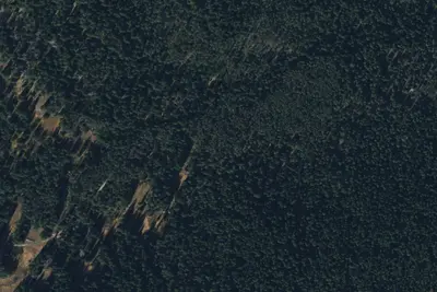 U.S. Forest Service Site 3