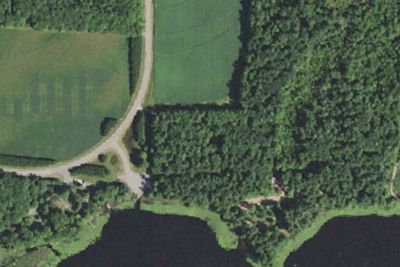 Collins Park Campground