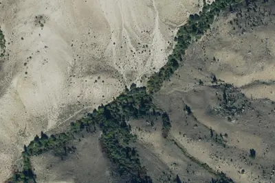 Camp site