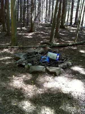 FLT M09 2.71 mi - Bivouac area in woods at west side of pond dam - panoramio