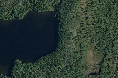 Camp site