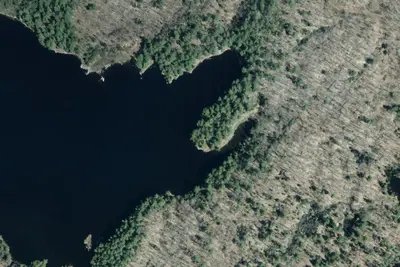 Camp site