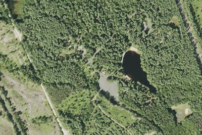 Beaman Pond Campground