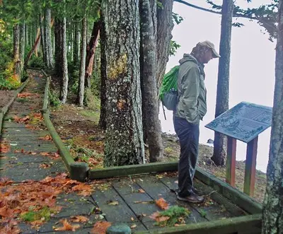 Seal Rock boardwalk in fall, Olympic National Forest (32481756356)