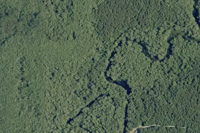 Bennett Creek Paddle-In High Ground Campsites