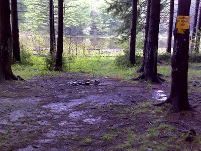 FLT O1 Herlihy Spur 0.10 mi - Bivouac area at Spruce Pond, NYS DEC camping permit required - panoramio