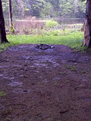FLT O1 Herlihy Spur 0.09 mi - Bivouac area at Spruce Pond, NYS DEC camping permit required - panoramio