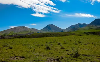Mountain range and tundra, Ivvavik National Park, YT