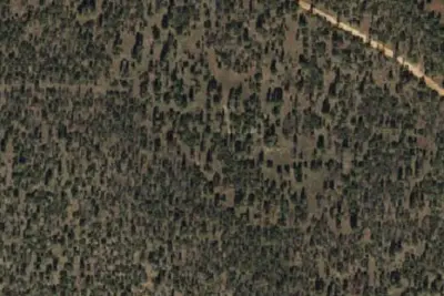 Camp site