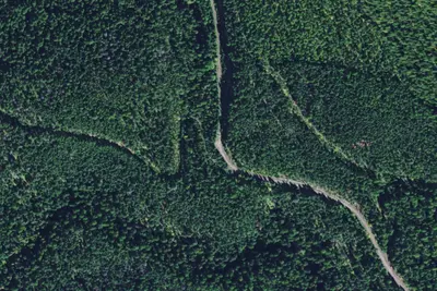 Barber Creek Road/ Foothills Trail Access