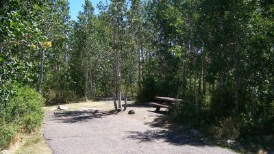Angel Creek (Humboldt-Toiyabe National Forest, NV)