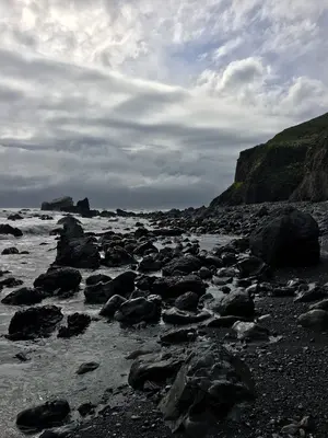 Sea Lion Gulch (29209898333)
