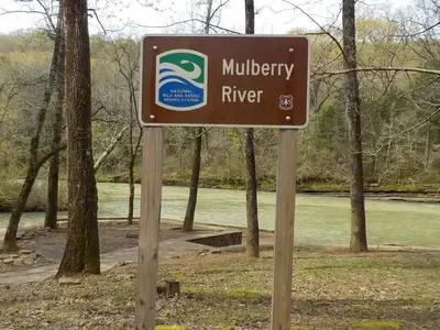 Mulberry WSR