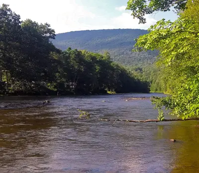 View upstream along Esopus Creek from opposite Sleepy Hollow Campground, Phoenicia, NY