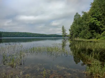Bottle Lake1