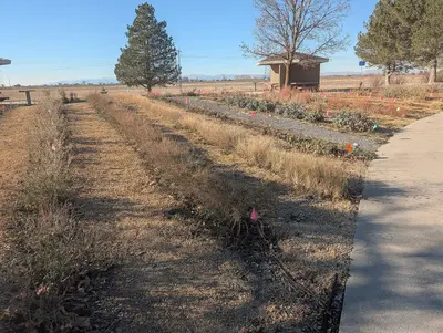 Pollinator area at Brigham City