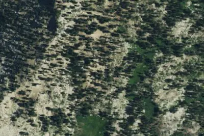 Camp site