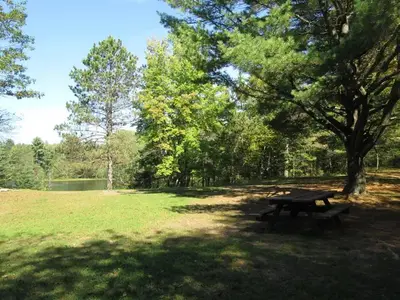 Swan lake campsite