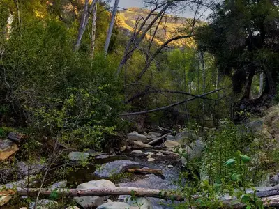 Wheeler Gorge river