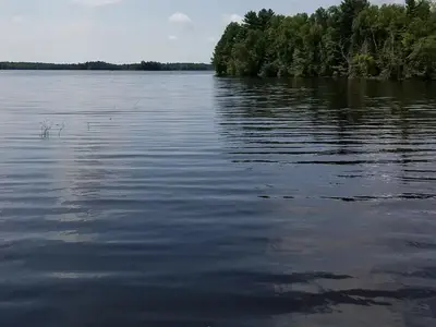 Moose Lake Boat Landing View